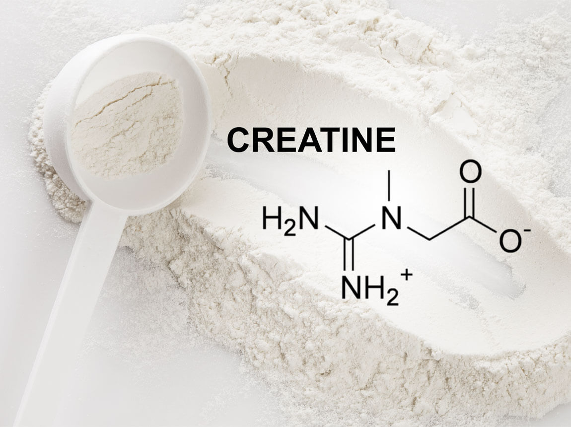 creatine 