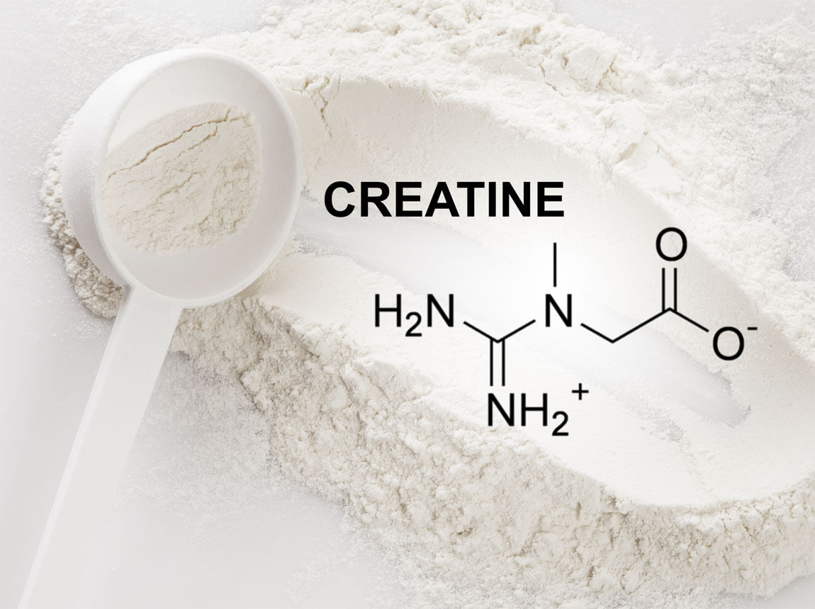 creatine 