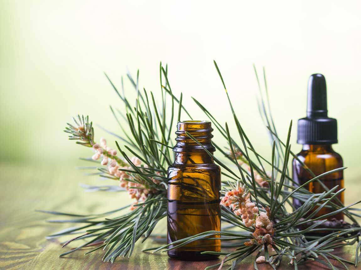 sea pine extract