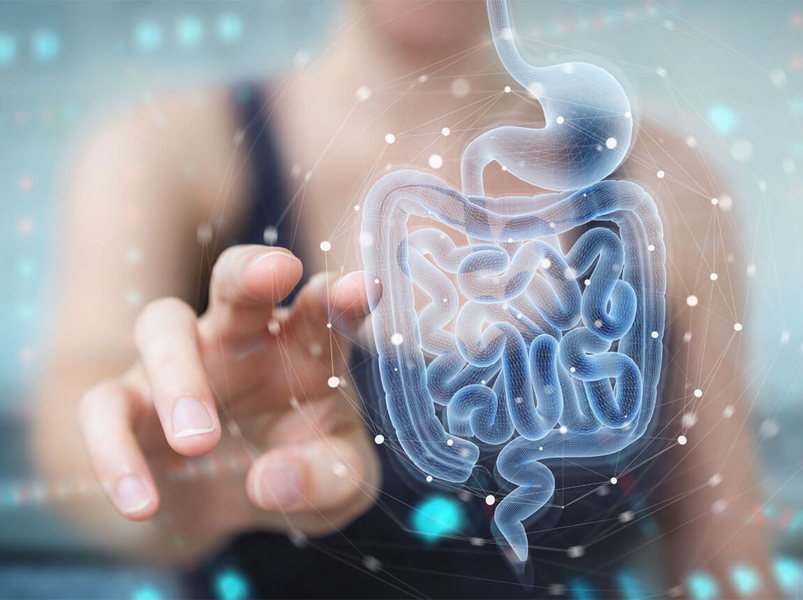 intestines - glutamine