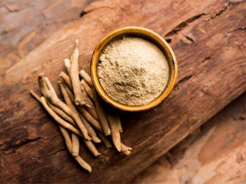 Ashwagandha – effects, properties and dosage