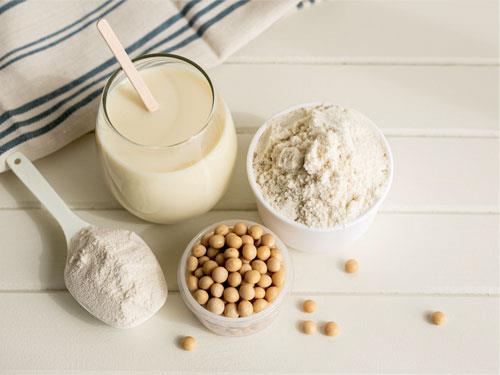 Soy protein or whey protein?