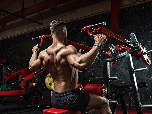 What is glutamine responsible for? Its role in the body