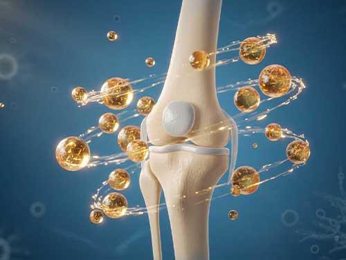 The importance of vitamin K for healthy bones