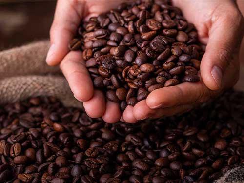 Mateina – what is it? Properties, uses and effects