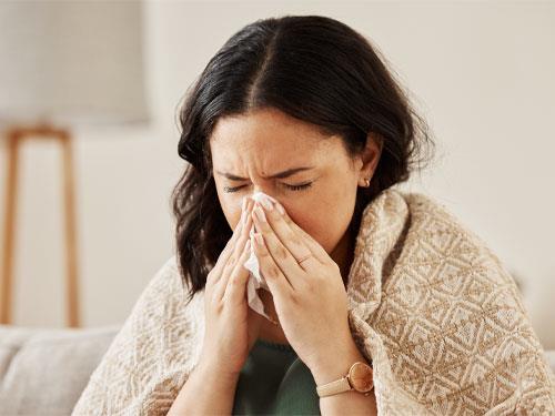 Elderberry extract for immunity?