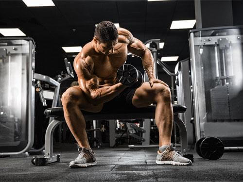 What are the effects of glutamine? Read the reviews