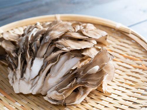 What is maitake mushroom beneficial for?