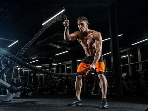 Creatine malate effects after the cycle