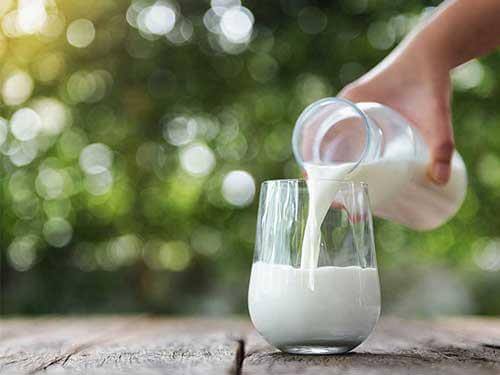 Is milk a good source of protein?