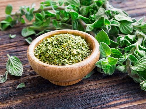 Wild oregano – characteristics, composition and use in the diet