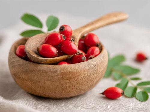 Wild rose – how it affects health, properties, effects