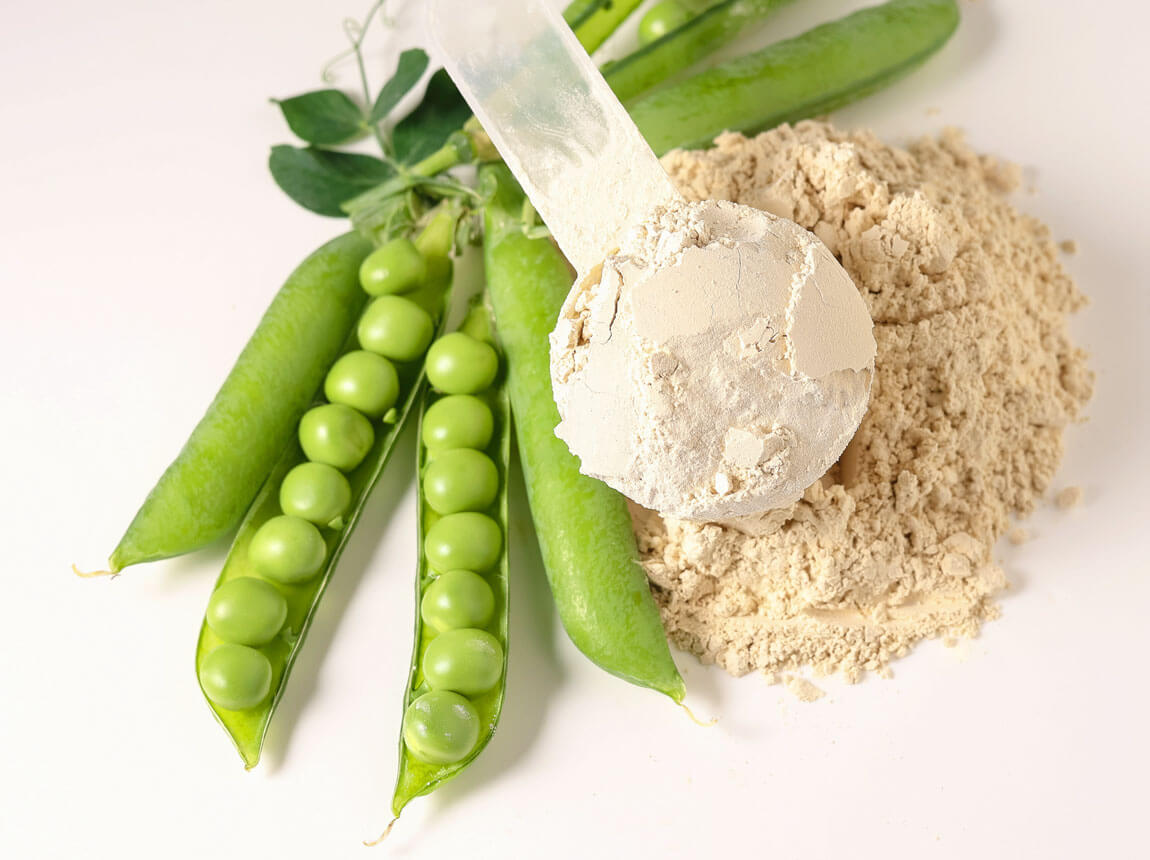 pea protein powder 