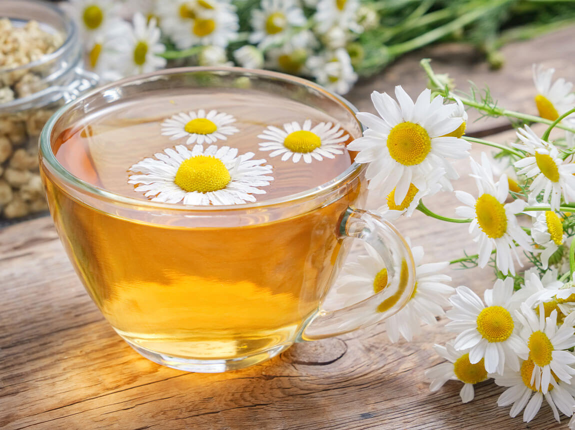 chamomile
