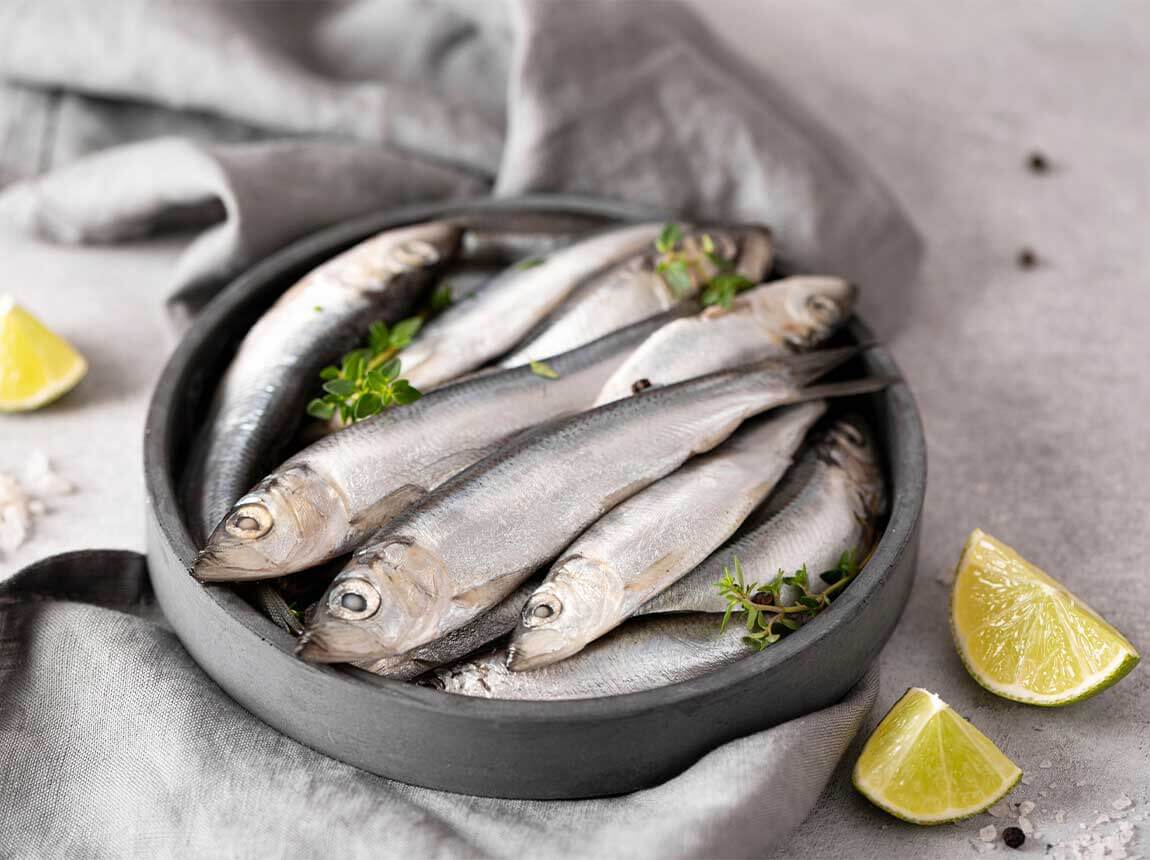 fish - creatine