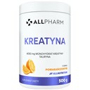 Kreatyna (500 g)