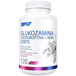 Glucosamine Chondroitin + MSM Forte